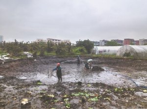 平湖河道鱼塘清淤